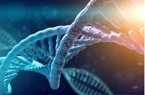 新的遗传变异可能增加霍奇金淋巴瘤的风险