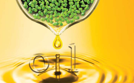 工程浮萍生产用于生物燃料生物产品的油