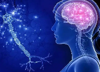 研究人员发现了新的神经系统疾病其特征是运动协调和言语问题