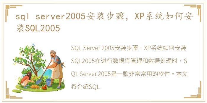 sql server2005安装步骤，XP系统如何安装SQL2005