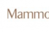 Mammoth Holdings在犹他州普罗沃市场开设Wiggy Wash
