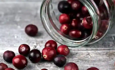 蔓越莓的5种健康益处使其成为超级水果