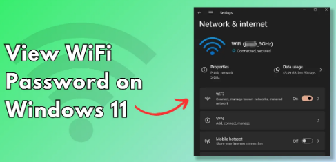 如何在Windows 11上检查或查看WiFi密码