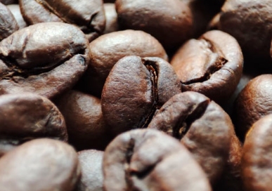 阿拉比卡咖啡起源于60万多年前的埃塞俄比亚
