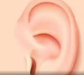 感音神经性听力损失您需要知道的一切
