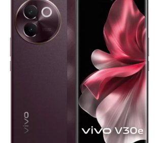 Vivo V30e与Vivo V30智能手机对比主要区别是什么